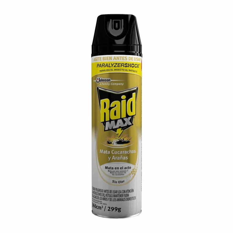 Raid max