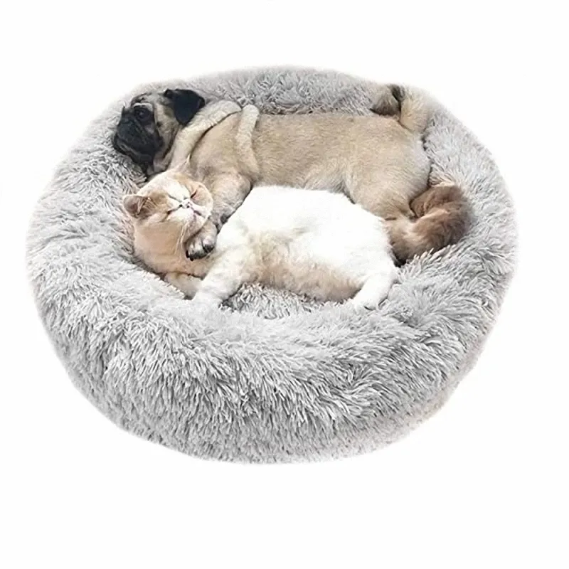 Cama de perros y gatos 